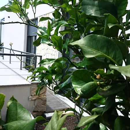 Appartement Horizon